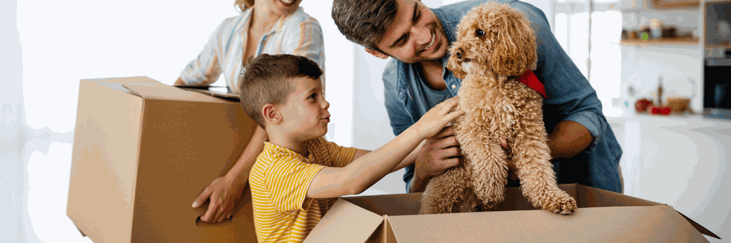 Happy dog with suitcase and passport symbolizing successful pet travel move to New Zealand