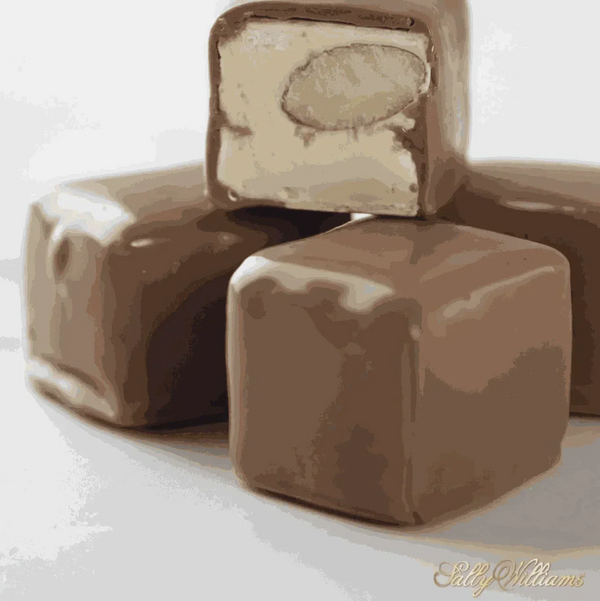 Sally Williams Nougat Almond 50g Bar with roasted almonds and honey nougat