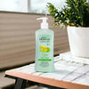 Oh So Heavenly Hygiene Clean Queen of Clean Hand Wash 450ml with citrus scent and pH balanced formula