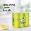 Schweppes Lemon Twist - 300ml (6-Pack) Facebook Ad