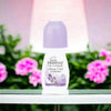 Oh So Heavenly Cool 'n Confident Roll On 50ml anti-perspirant with moisturizers and 48hr odor protection