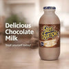 Steri Stumpie Milk - Chocolate 350ml Bottle Facebook Ad